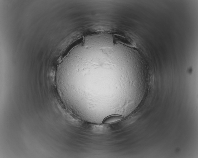 X0000115780281200911271211