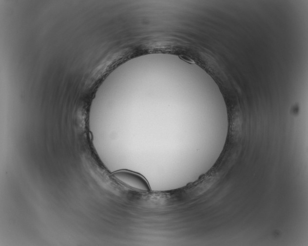 X0000115780282200911271211