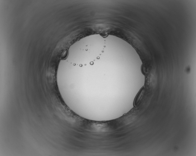 X0000115780283200911271211