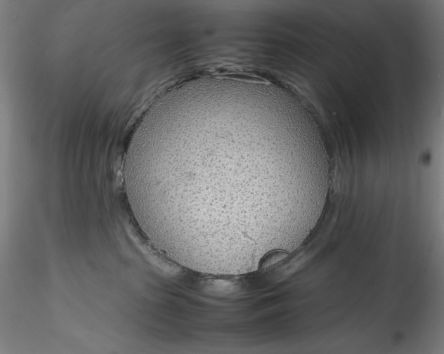 X0000115780285200911271211