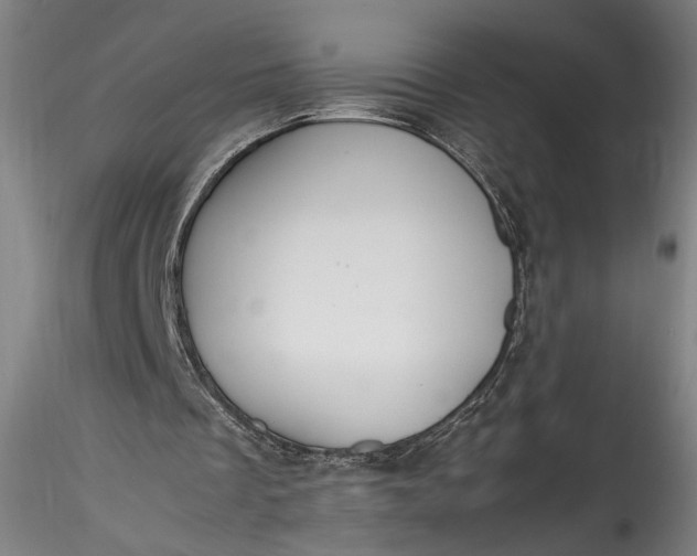 X0000115780289200911271210