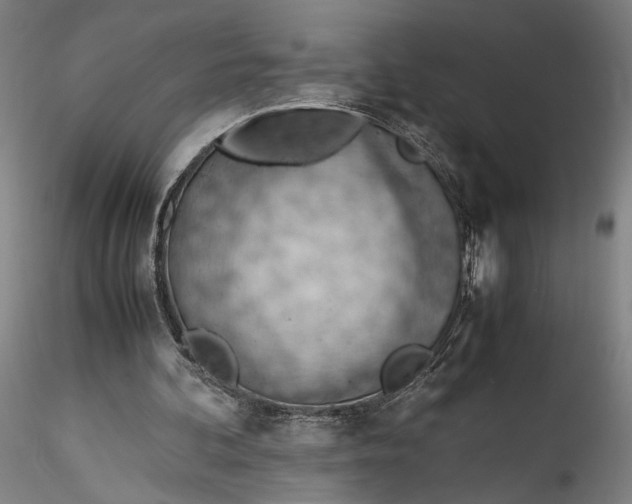 X0000115780292200911271210