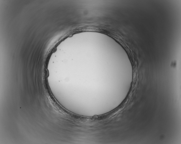 X0000115780293200911271210