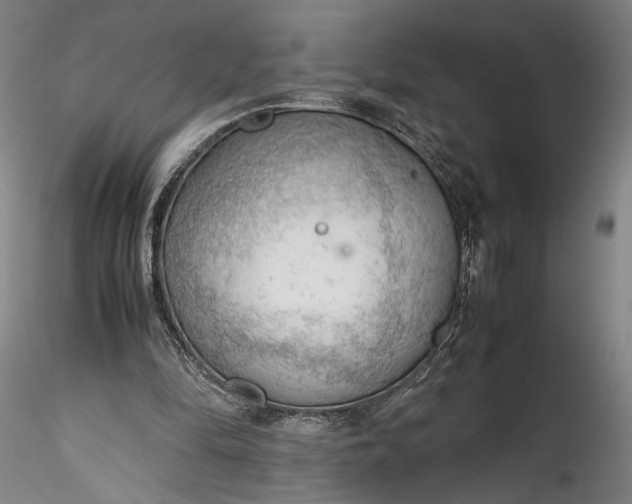 X0000115780294200911271210