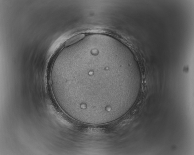 X0000115780296200911271210