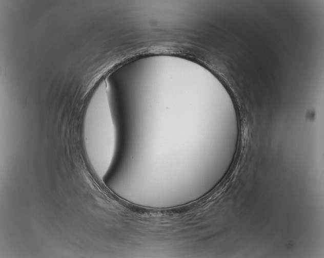 X0000115780297200911271210