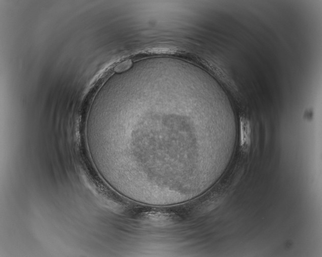 X0000115780300200911271210