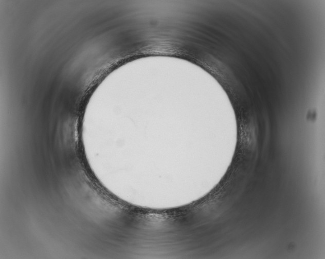 X0000115780302200911271210