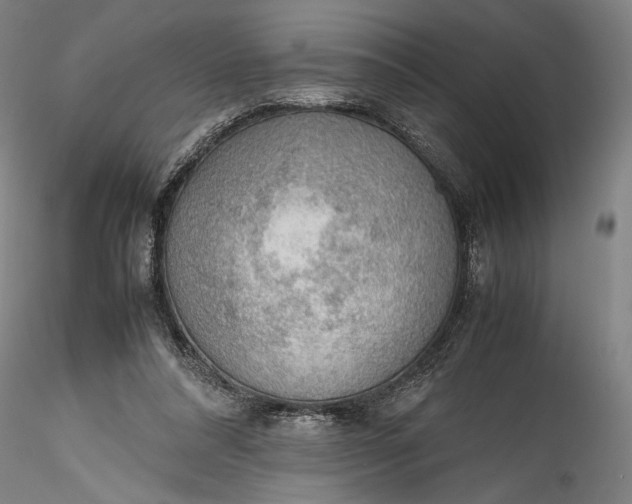 X0000115780304200911271210