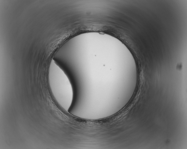 X0000115780305200911271210