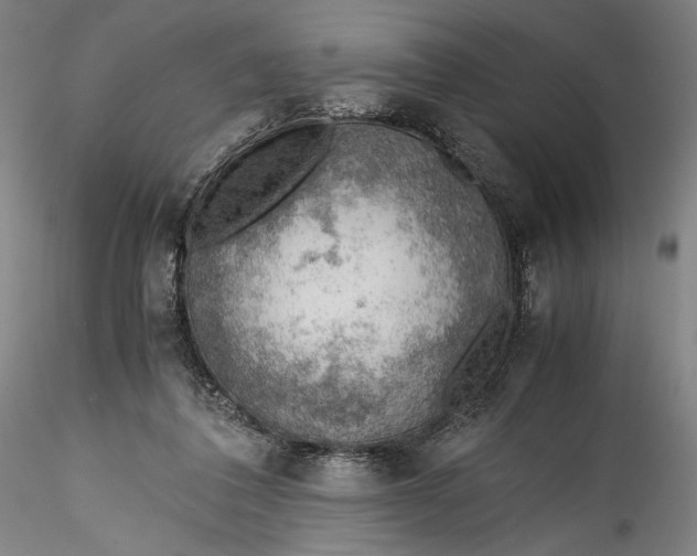 X0000115780308200911271210