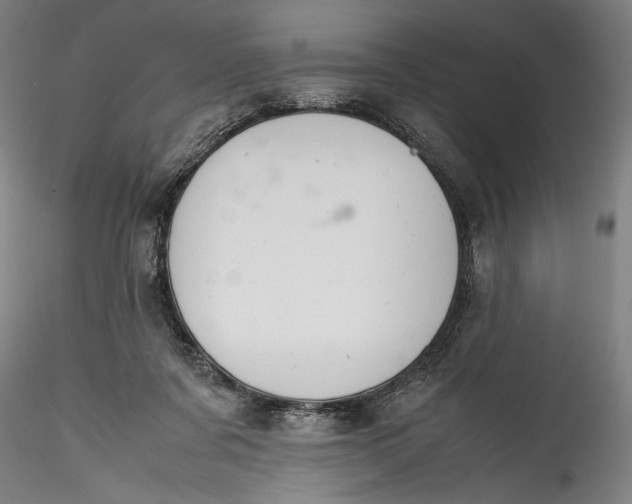 X0000115780311200911271210