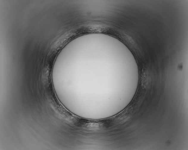 X0000115780314200911271210