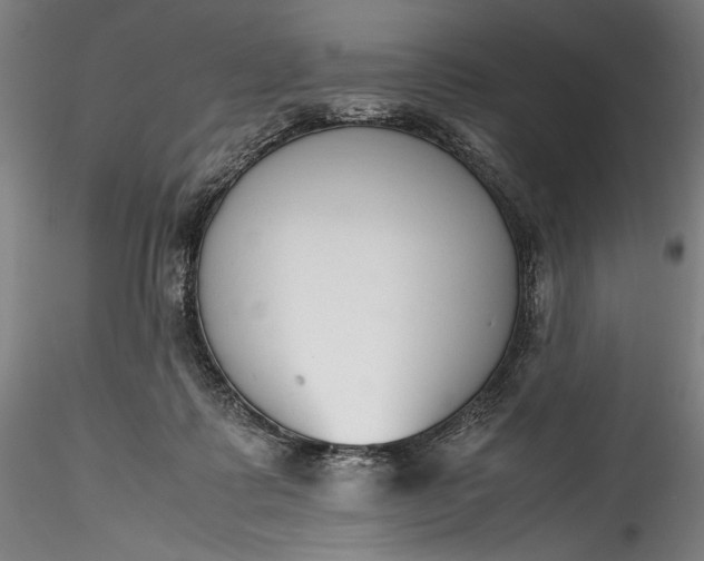 X0000115780315200911271210