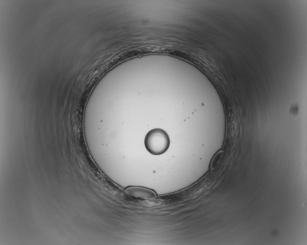 X0000115780317200911271210