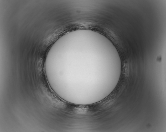 X0000115780318200911271210