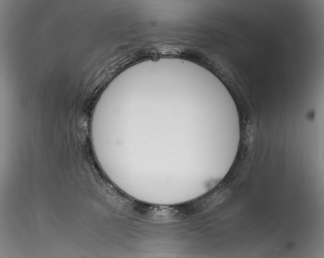 X0000115780321200911271210