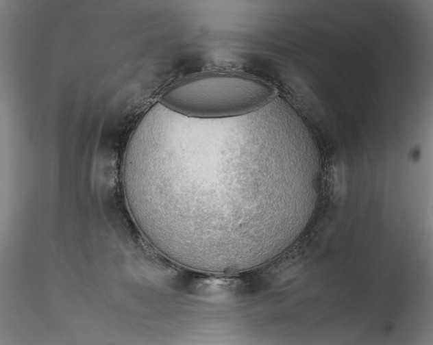 X0000115780323200911271210