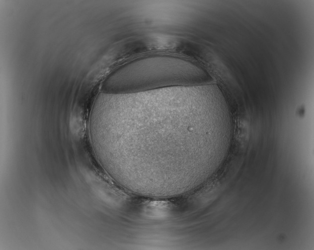 X0000115780324200911271210