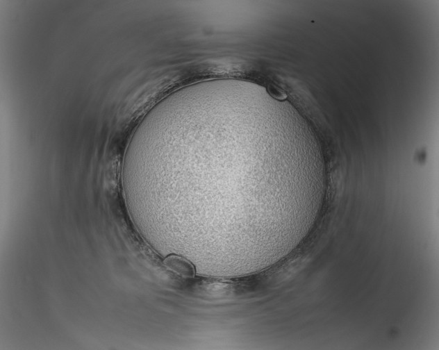 X0000115780325200911271210