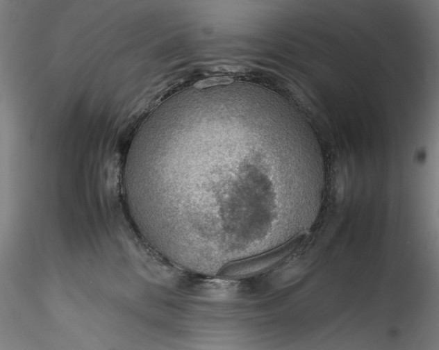 X0000115780328200911271210