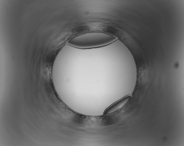 X0000115780329200911271210