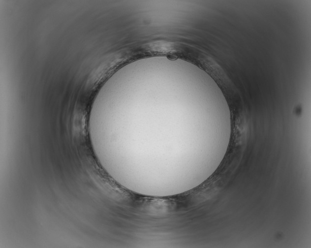 X0000115780330200911271210