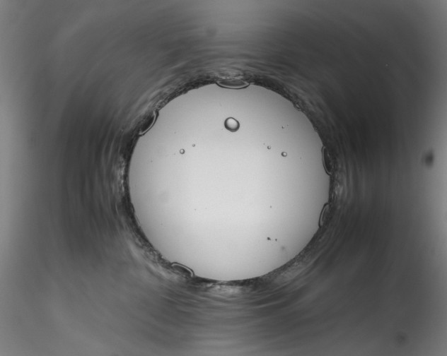 X0000115780332200911271210