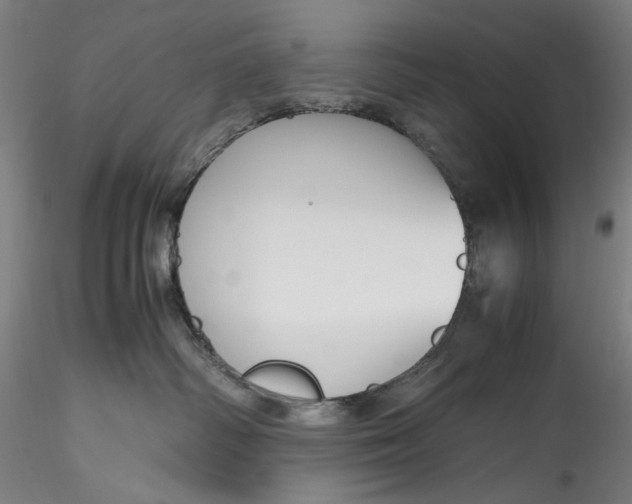 X0000115780334200911271210