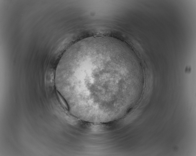 X0000115780336200911271210