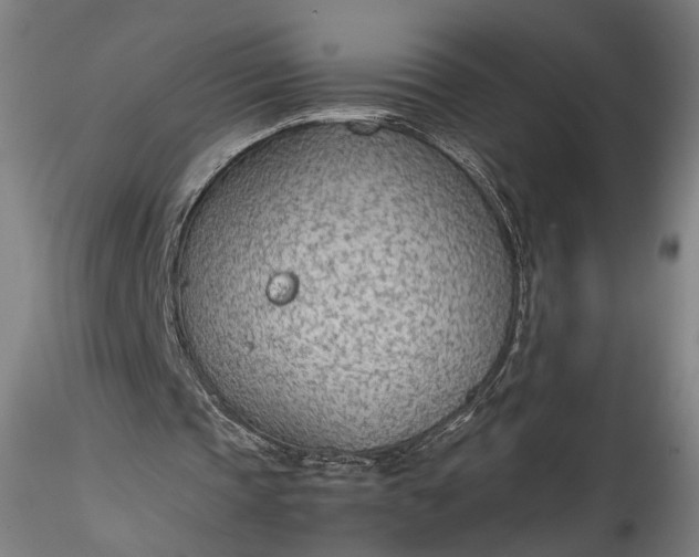 X0000115780337200911271209