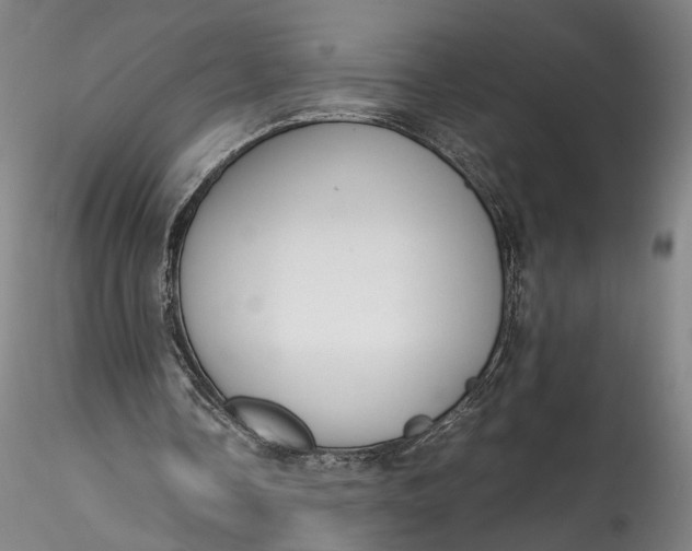 X0000115780338200911271209