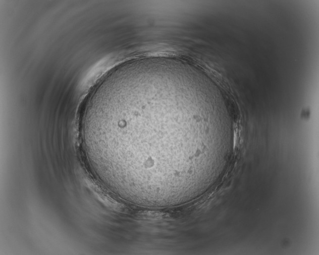 X0000115780339200911271209