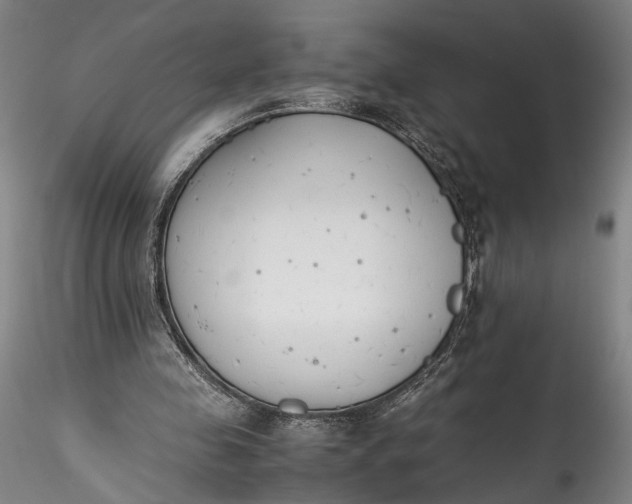 X0000115780341200911271209