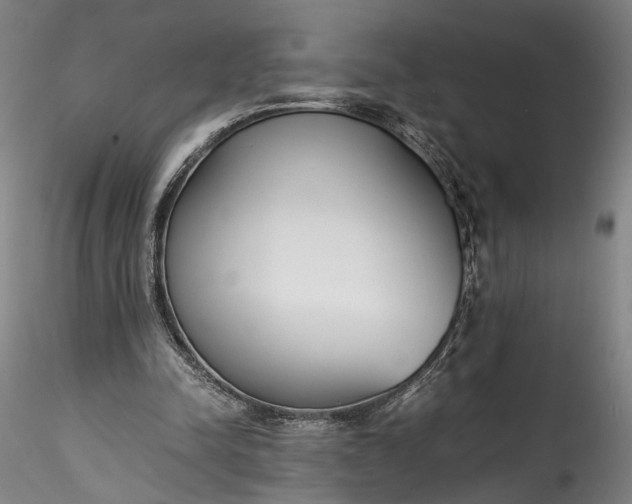 X0000115780342200911271209