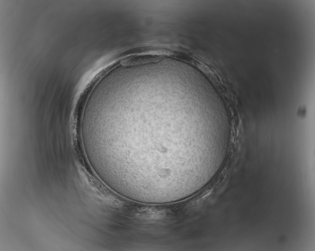 X0000115780343200911271209