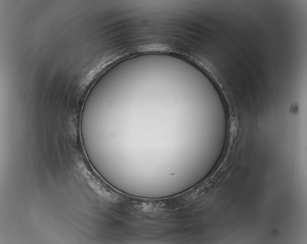 X0000115780345200911271209