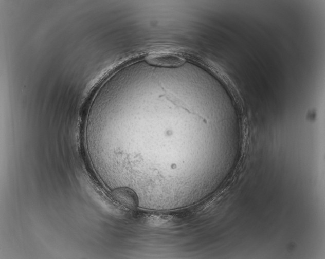 X0000115780346200911271209