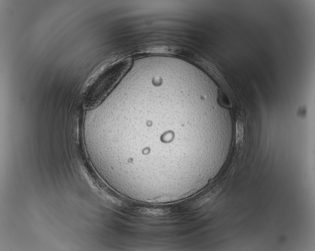 X0000115780349200911271209