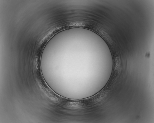 X0000115780351200911271209