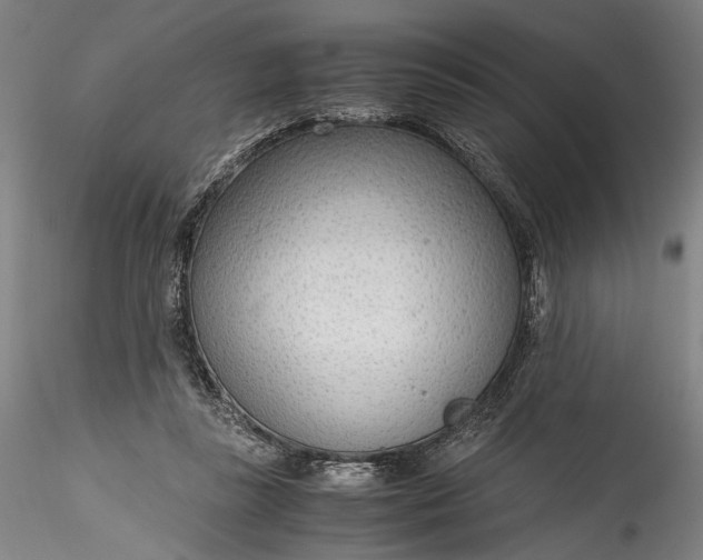 X0000115780355200911271209