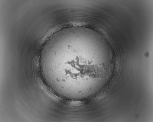 X0000115780357200911271209