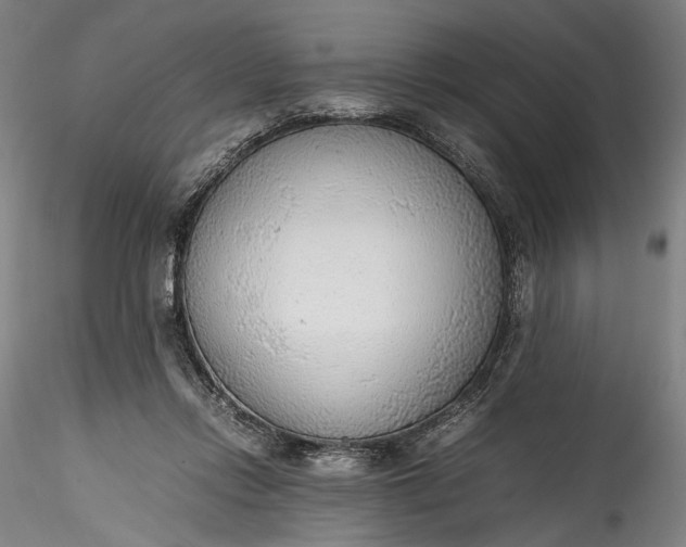 X0000115780358200911271209