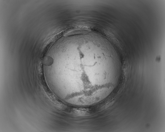 X0000115780359200911271209