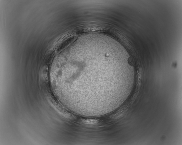 X0000115780361200911271209