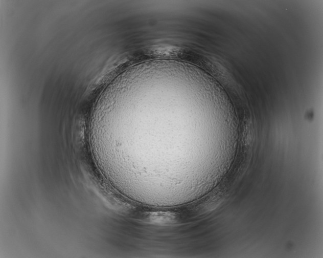 X0000115780363200911271209