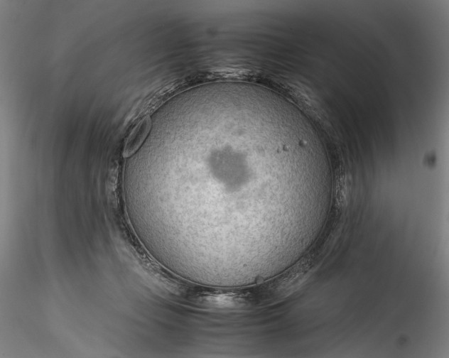 X0000115780365200911271209