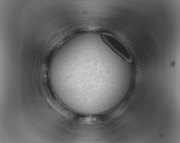 X0000115780366200911271209