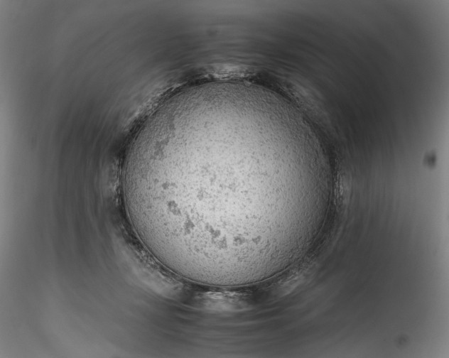 X0000115780367200911271209