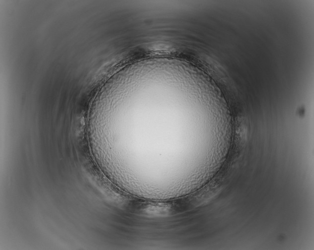 X0000115780369200911271209